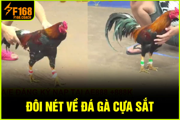 Đôi nét về đá gà cựa sắt Đôi nét về đá gà cựa sắt